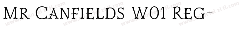 Mr Canfields W01 Reg字体转换